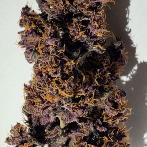 CG - El valle haze growlog timeline photo