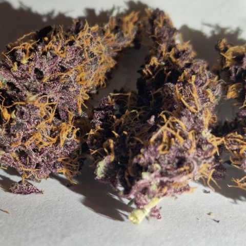 CG - El valle haze growlog timeline photo
