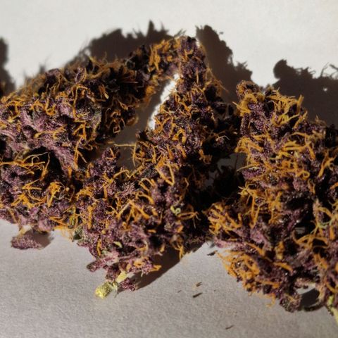 CG - El valle haze growlog timeline photo