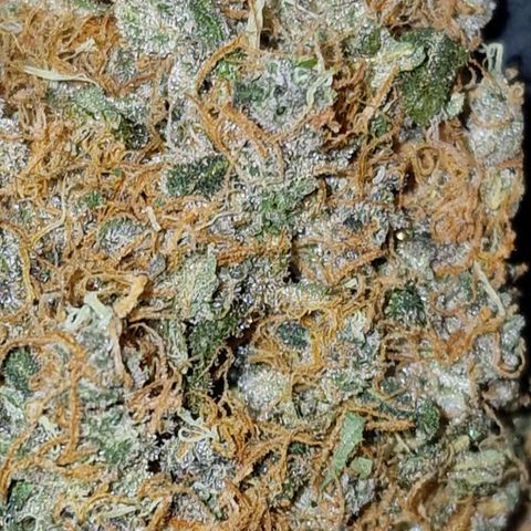 CG - El valle haze growlog timeline photo