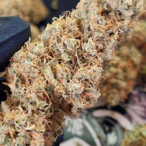 CG - El valle haze growlog timeline photo
