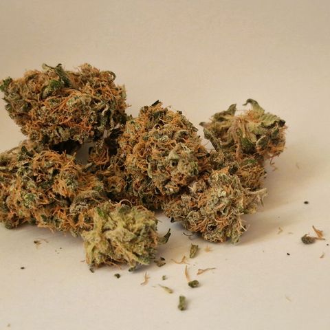 CG - El valle haze growlog timeline photo