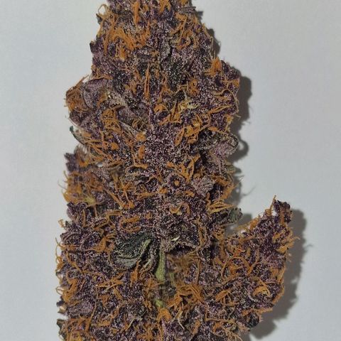 CG - El valle haze growlog timeline photo