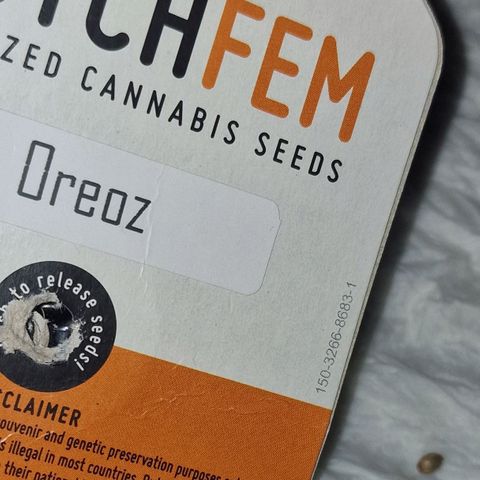 CG - El valle haze growlog timeline photo