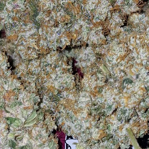CG - El valle haze growlog timeline photo
