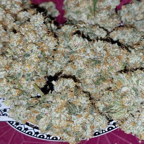 CG - El valle haze growlog timeline photo