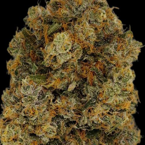 CG - El valle haze growlog timeline photo