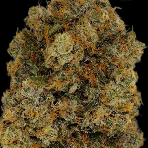 CG - El valle haze growlog timeline photo