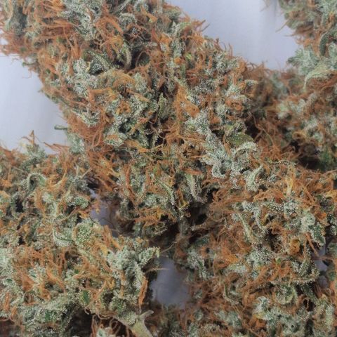 CG - El valle haze growlog timeline photo