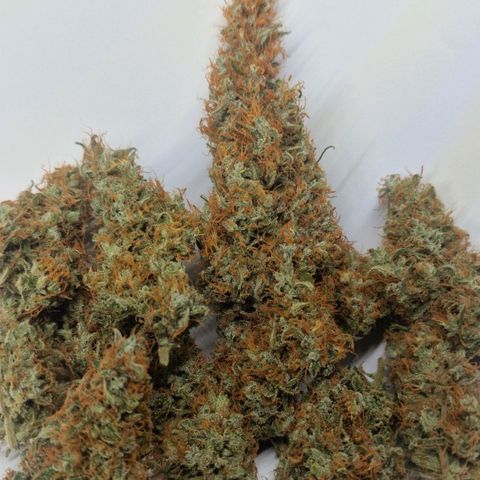 CG - El valle haze growlog timeline photo