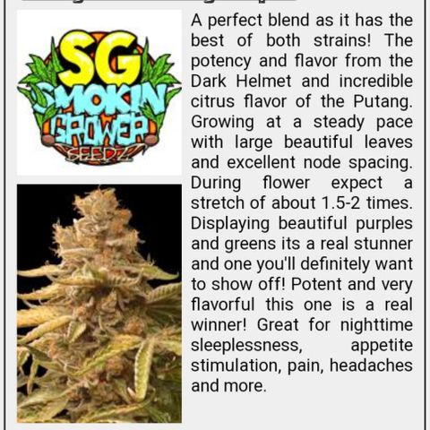 Dark Putang #2 growlog timeline photo
