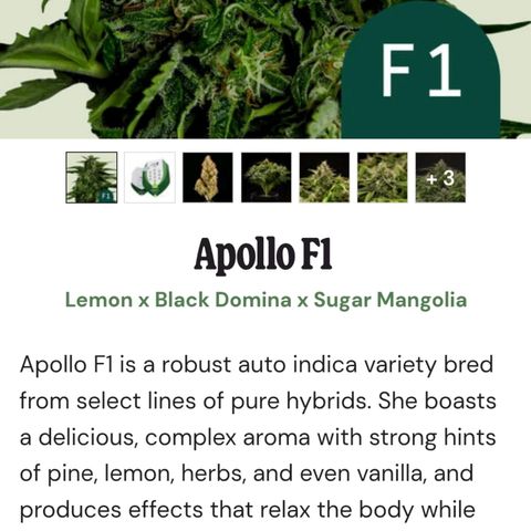 Apollo F1 - RQS growlog photo