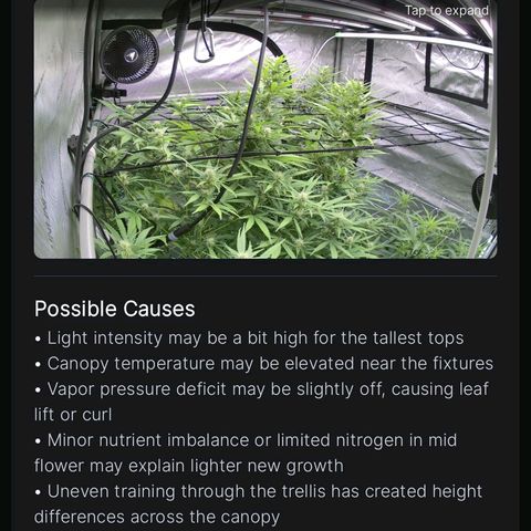 Dark Putang growlog photo: Added ai cameras to tent...gotta cool down