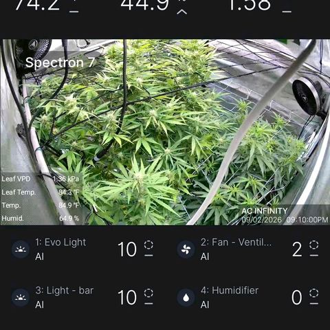 Dark Putang growlog photo: Added ai cameras to tent...gotta cool down