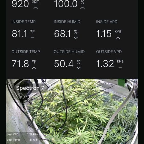 Dark Putang growlog timeline photo