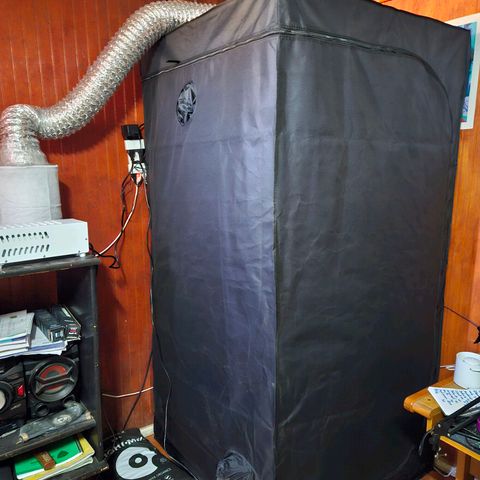 Mix de semillas Poison Seeds growlog photo: Problemaa de ventilación: Se inflaba la carpa
El extractor estaba obstruido por la manga y el filtro de carbono
SOLUCION:
cambio de manga por una nueva e instalación de manga nueva en el intractor