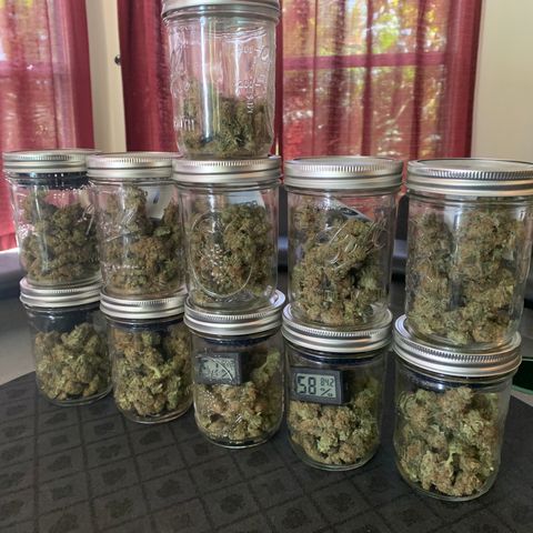 White Window growlog timeline photo