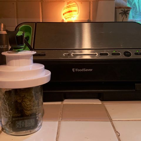 White Window growlog timeline photo