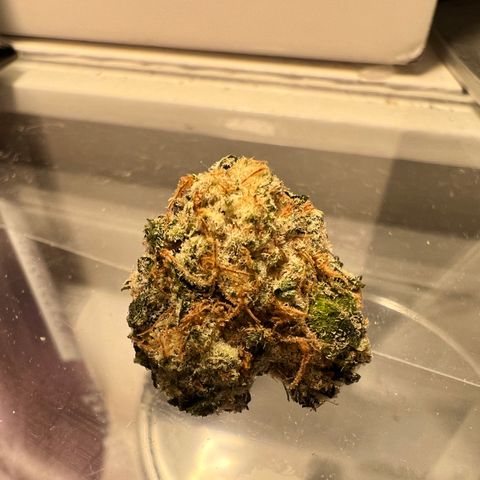 White Widow growlog photo: Some of the smaller buds I harvested for my first grow. So proud came out top notch