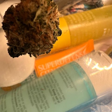 White Widow growlog photo: Some of the smaller buds I harvested for my first grow. So proud came out top notch