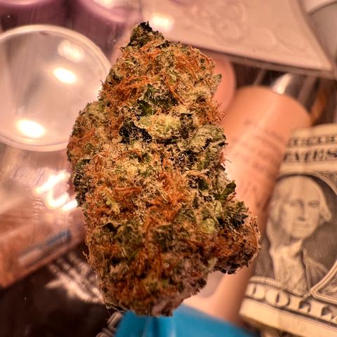 White Widow growlog photo: Some of the smaller buds I harvested for my first grow. So proud came out top notch