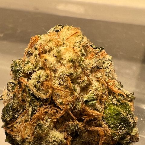 White Widow growlog photo: Some of the smaller buds I harvested for my first grow. So proud came out top notch