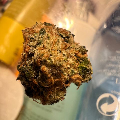 White Widow growlog photo: Some of the smaller buds I harvested for my first grow. So proud came out top notch
