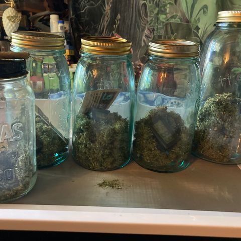 Pregnant Hooker growlog photo: Cure starts now!