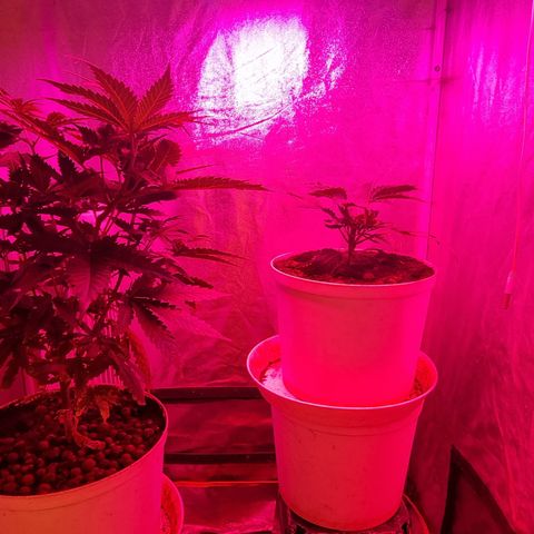 3G growlog photo: Oikean puoleinen