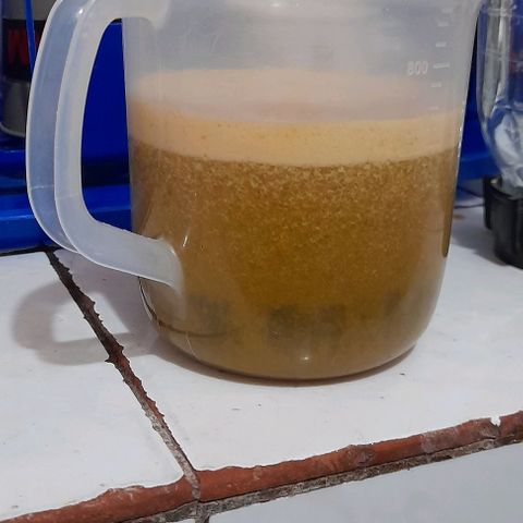 Chalupas var. CBD growlog photo: Preparación de fertilizante orgánico