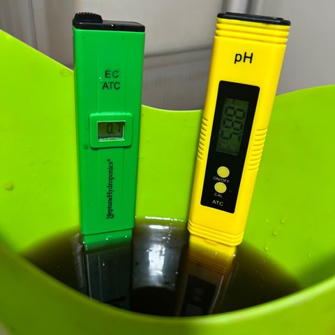 FruitSpirit growlog timeline photo