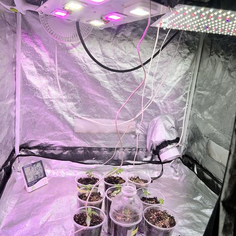 AK420 #1 growlog timeline photo