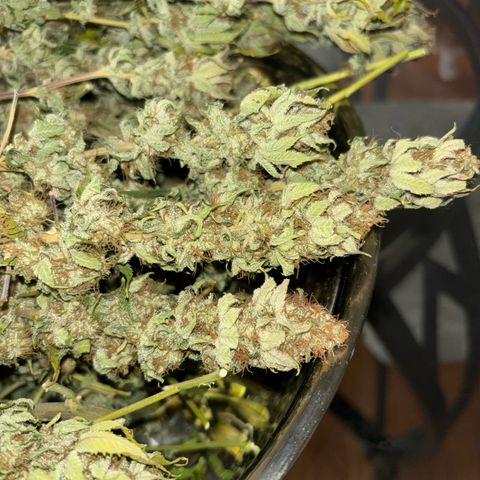 Petree growlog photo: Time to trim and jar