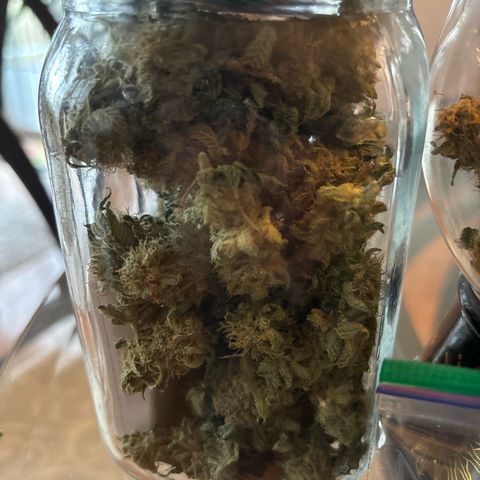 Petree growlog photo: 104 grams. Just under 4 ounces