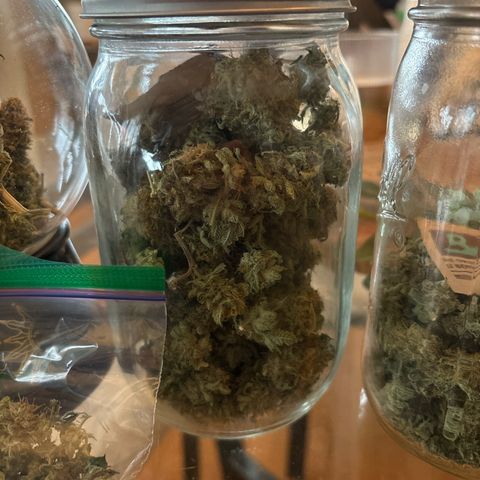 Petree growlog photo: 104 grams. Just under 4 ounces