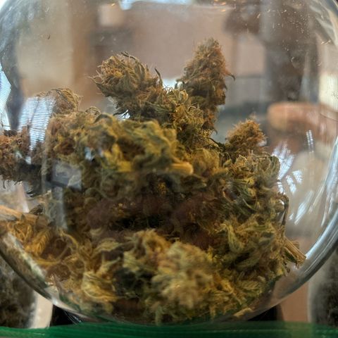 Petree growlog photo: 104 grams. Just under 4 ounces