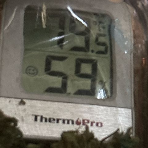 Petree growlog timeline photo