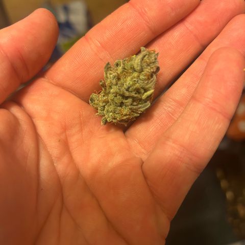 Strawberry Milk and Qookies Remix growlog timeline photo