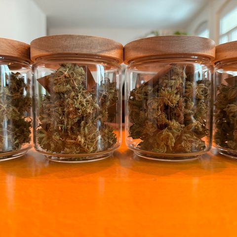 Royal Critical Automatic growlog timeline photo