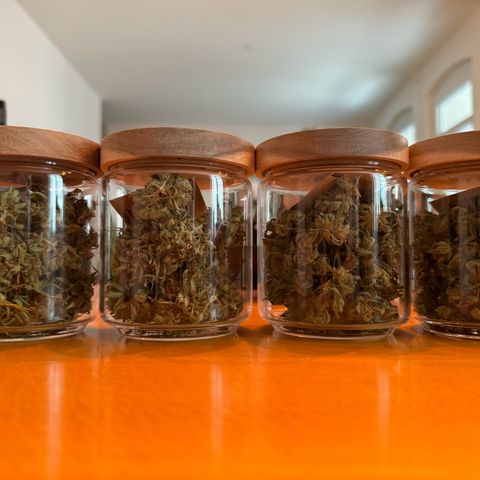 Milky Way growlog timeline photo
