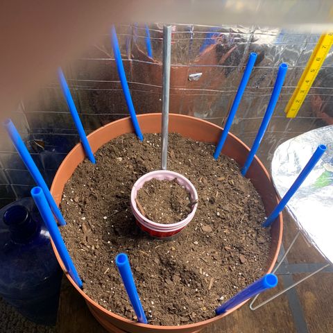 Brandi Ross growlog timeline photo