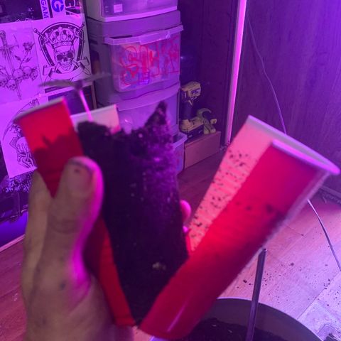 Brandi Ross growlog timeline photo