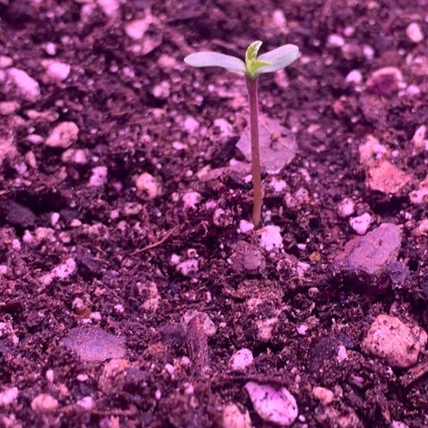 Pookie Marie growlog timeline photo