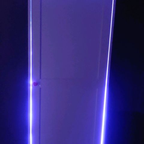 Gentleman skunk growlog photo: My interest into growing went through the roof. Build a little cabin for the plant with a better aliexpress light it's 600watt but it uses just 30 watt in vegetive mode. Looks decent for the price. Also ordered a lot of other stuff that is waiting for arrival. Pretty happy with the build only downside is that it's not airtight and i should find a solution for it. 
