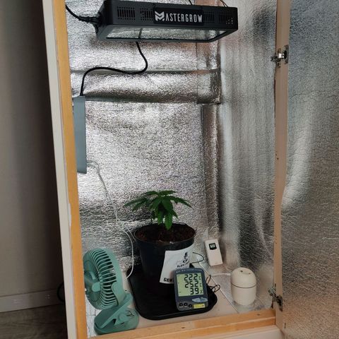 Gentleman skunk growlog timeline photo