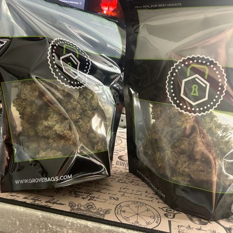 Special Kush #1 1th growlog timeline photo