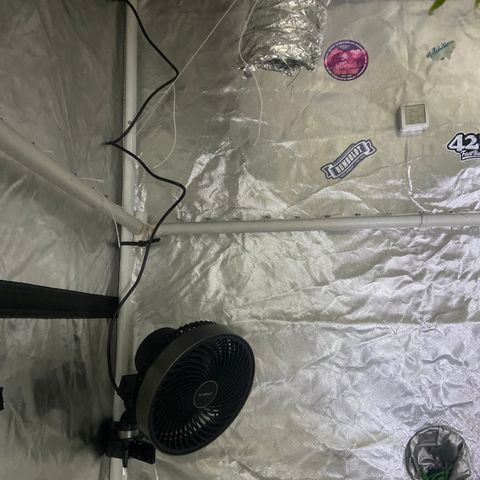 Pineapple Uspidedown Cake growlog timeline photo