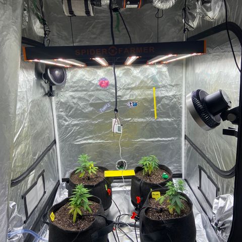 Moweeto growlog timeline photo