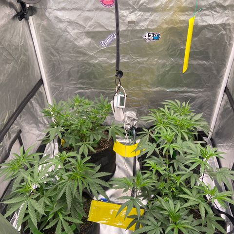 Moweeto growlog timeline photo