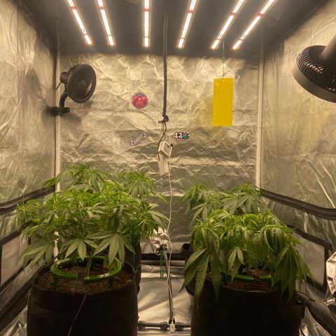 Moweeto growlog timeline photo